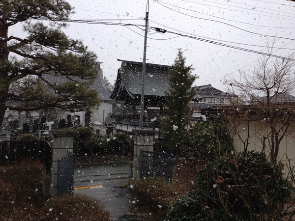 snowing1